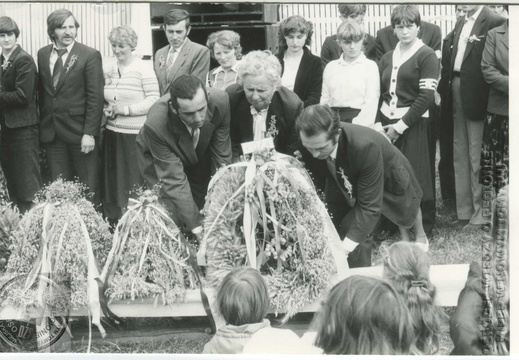 Wieńce dożynkowe - Jarmark Chmielo-Wikliniarski i Gminne Święto Plonów -1984 r.