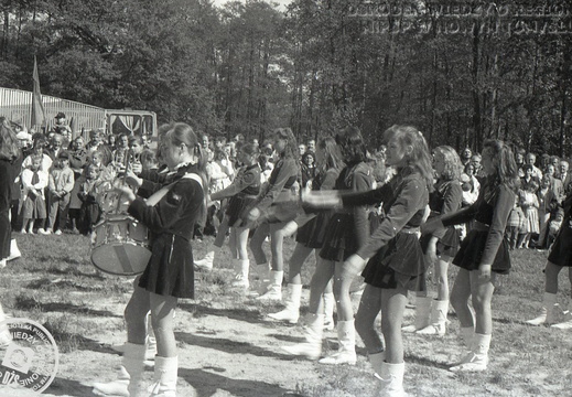 Jarmark Chmielo-Wikliniarski, 1991 r.