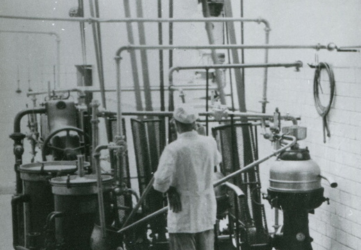 Okręgowa Spółdzielnia Mleczarska w Nowym Tomyślu. Transmisyjny napęd maszyn. 1947 r.