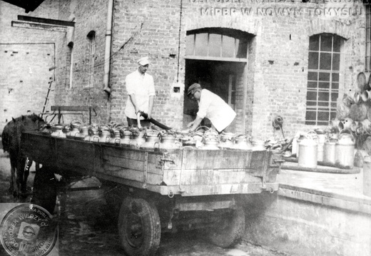 Okręgowa Spółdzielnia Mleczarska w Nowym Tomyślu. Spedycja mleka konną platformą. 1949 r.