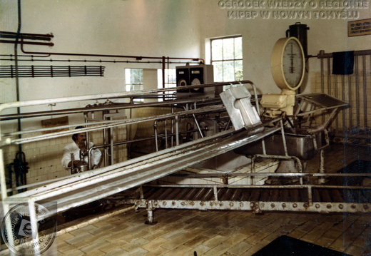  Odbiór mleka w Okręgowej Spółdzielni Mleczarskiej w Nowym Tomyślu. 1979 r.