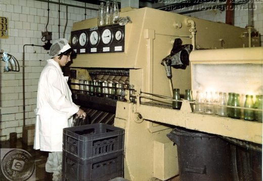 Okręgowa Spółdzielnia Mleczarska w Nowym Tomyślu - butelkarnia, 1980 r.