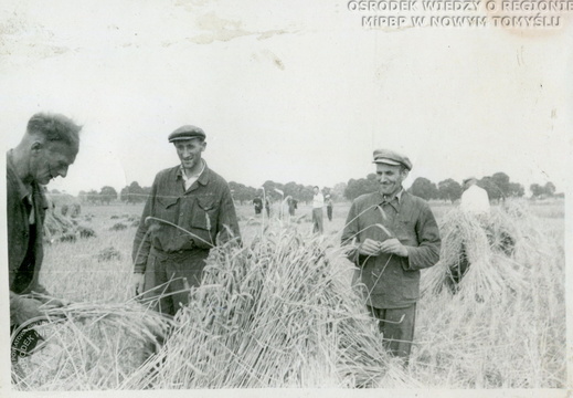 Czyn społeczny PZGS - pomoc przy pracach żniwnych w Posadowie. 1962 r.
