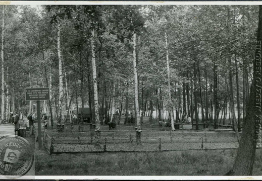 Z kroniki PZGS - hodowla ślimaków