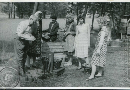 Z kroniki PZGS - hodowla ślimaków