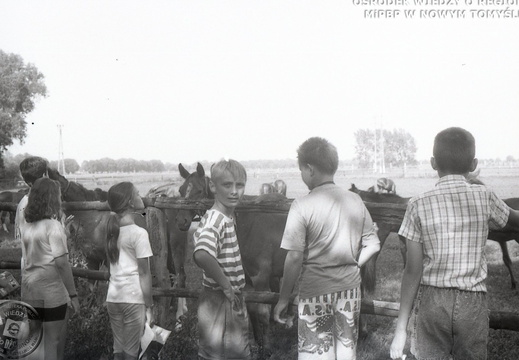 Wyjazd dzieci z Klubu Osiedlowego do stadniny w Posadowie. Akcja Lato, 28 lipca 1992 r.