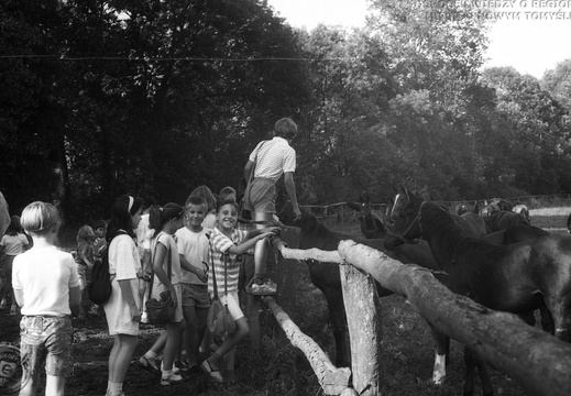 Wyjazd dzieci z Klubu Osiedlowego do stadniny w Posadowie. Akcja Lato, 28 lipca 1992 r.
