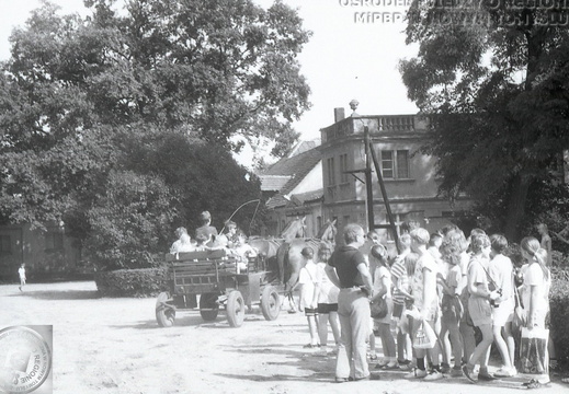 Wyjazd dzieci z Klubu Osiedlowego do stadniny w Posadowie. Akcja Lato, 28 lipca 1992 r.