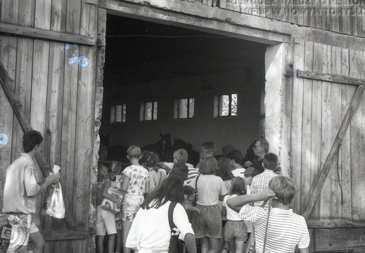 Wyjazd dzieci z Klubu Osiedlowego do stadniny w Posadowie. Akcja Lato, 28 lipca 1992 r.