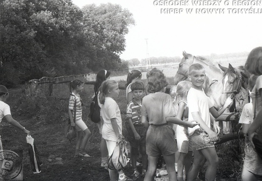 Wyjazd dzieci z Klubu Osiedlowego do stadniny w Posadowie. Akcja Lato, 28 lipca 1992 r.