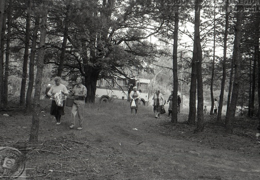 Klub Seniora na grzybobraniu, 1993 r.