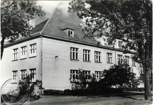 mierzejewski prm 007