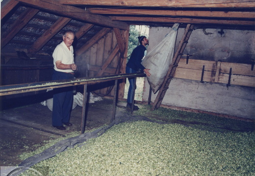 Suszarnia chmielu w gospodarstwie pp. Bińkowskich