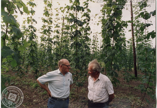 MiPBP w NT gm 21 10 01 OWoR 014 plantacja pana Binkowskiego