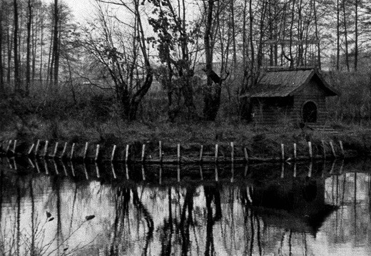Park Kultury w Nowym Tomyślu